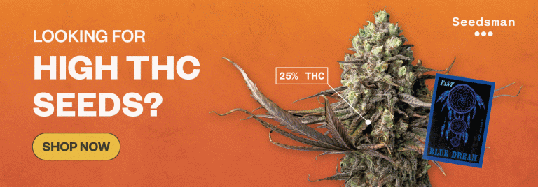 SeedsMan Seeds Promotions 768x268