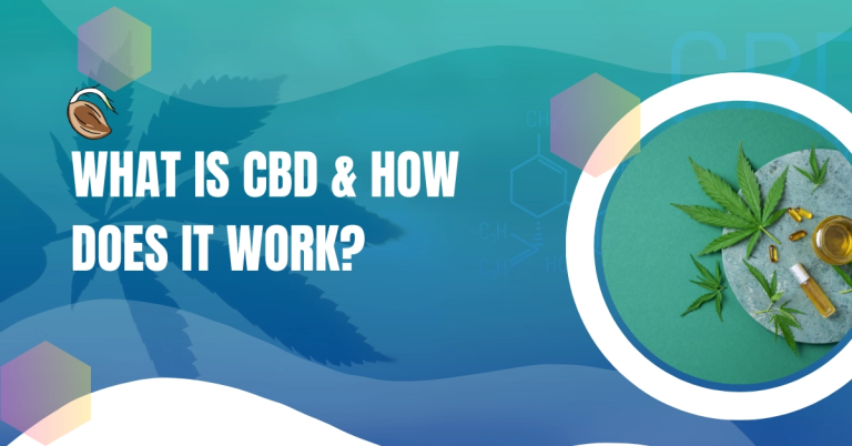 What is CBD - How Does It Work? What is CBD - How Does It Work?