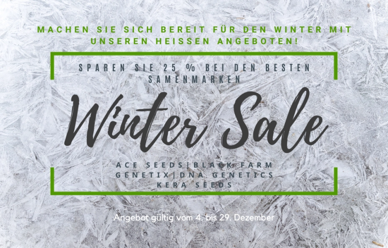 Winter Sales Winter Sales