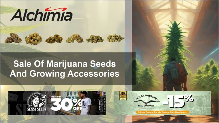 Alchimia Growshop 1 768x433