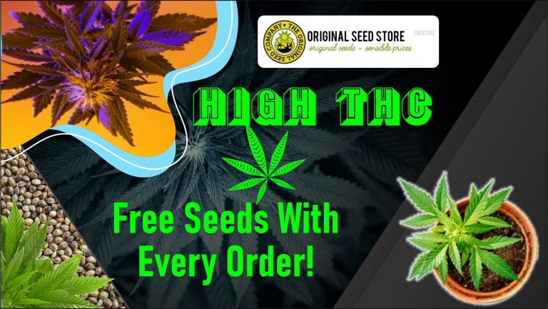 Original Seeds Store 768x433