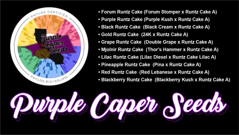 Purple Caper Seeds Cover 768x433