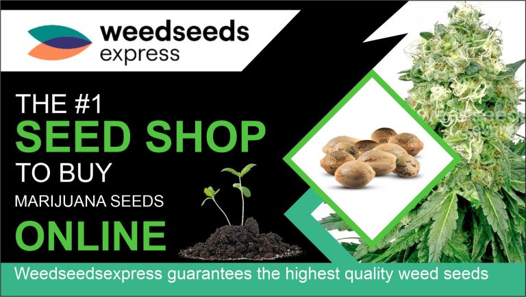 WeedSeedsExpress 1 768x433